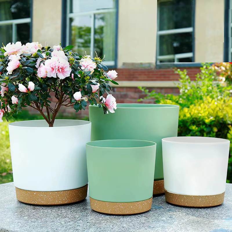 Jardinières paresseuses à arrosage automatique