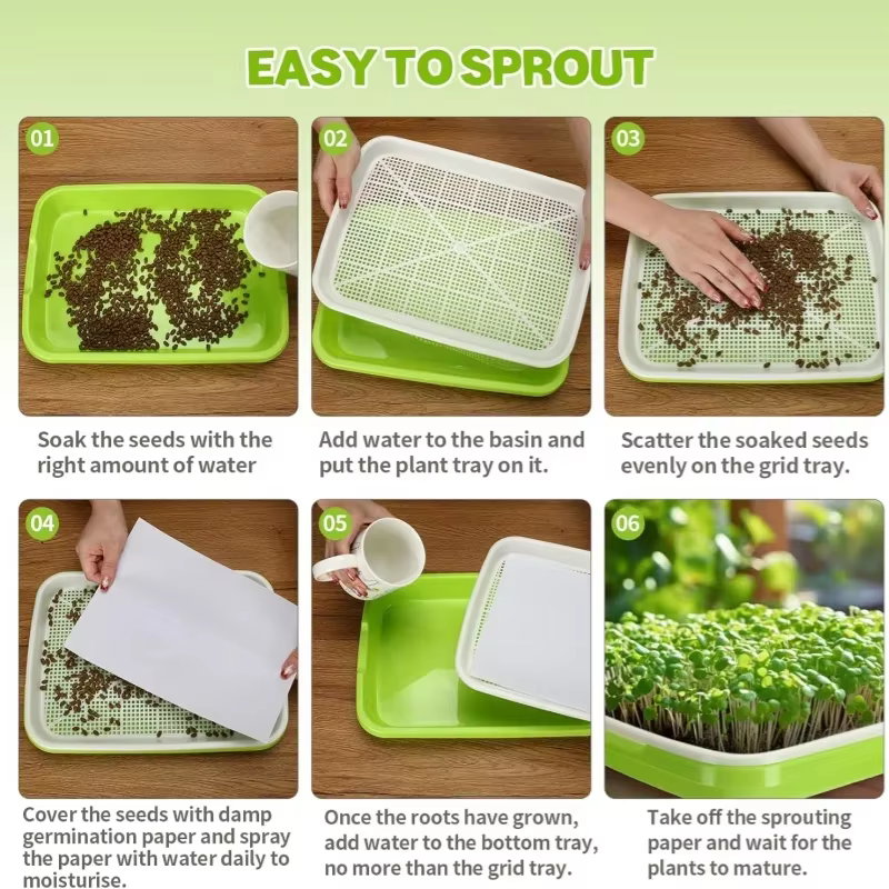 Plaque de germination hydroponique sans sol avec couvercle