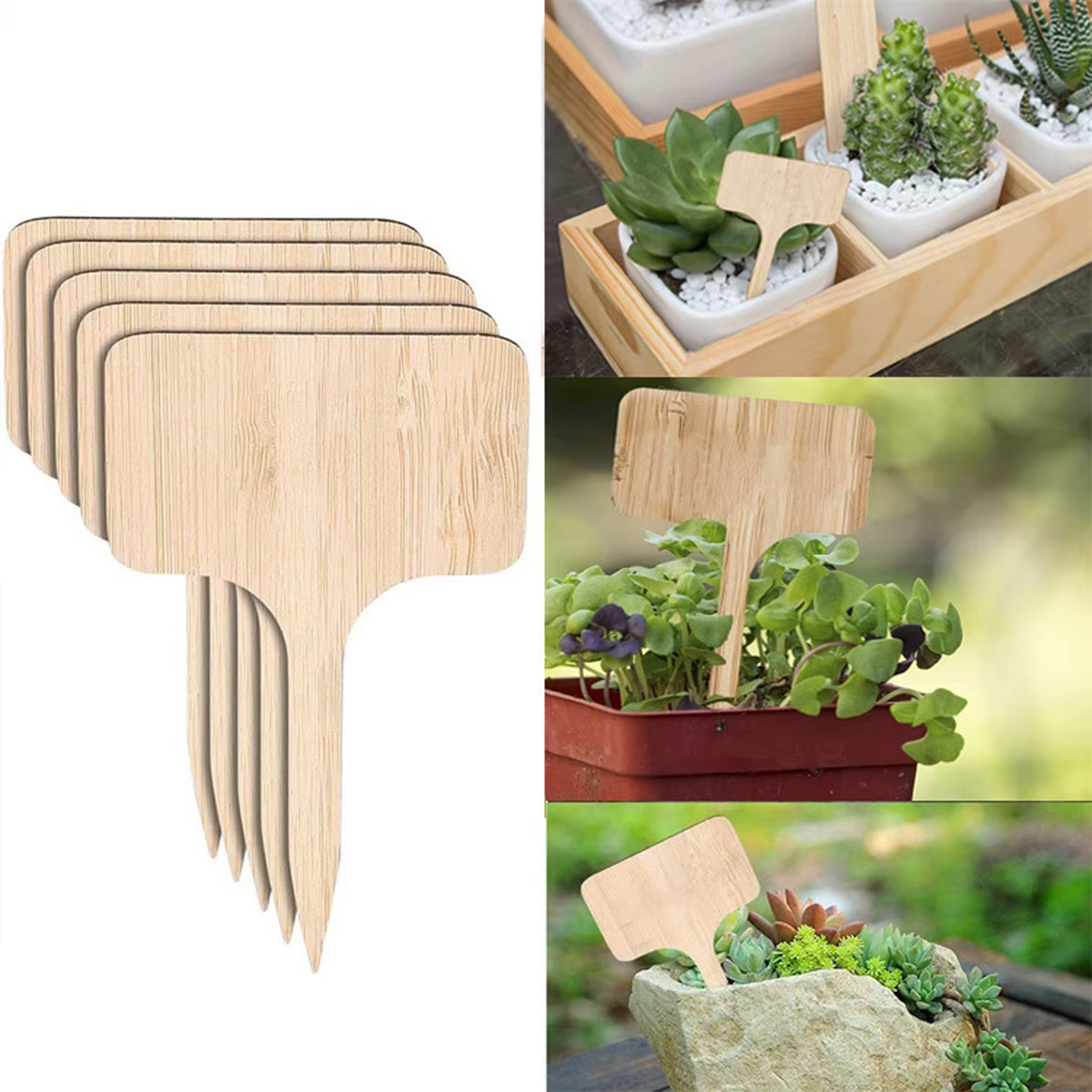 Étiquettes de plantes en bois, marqueurs de jardin multi-type en bambou, graines de bonsaï, fleur en pot, outil pour plantes succulentes, 5/50 pièces