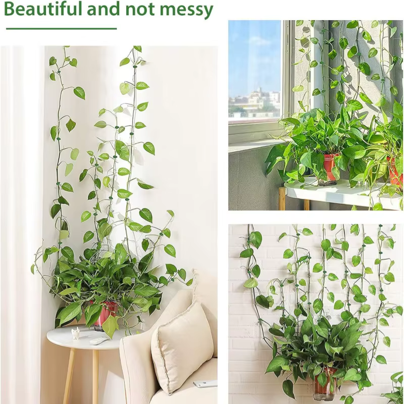 Pince auto-arina pour plante verte, outil mural grimpant, vigne grimpante, outil de croissance des plantes, 10 pièces
