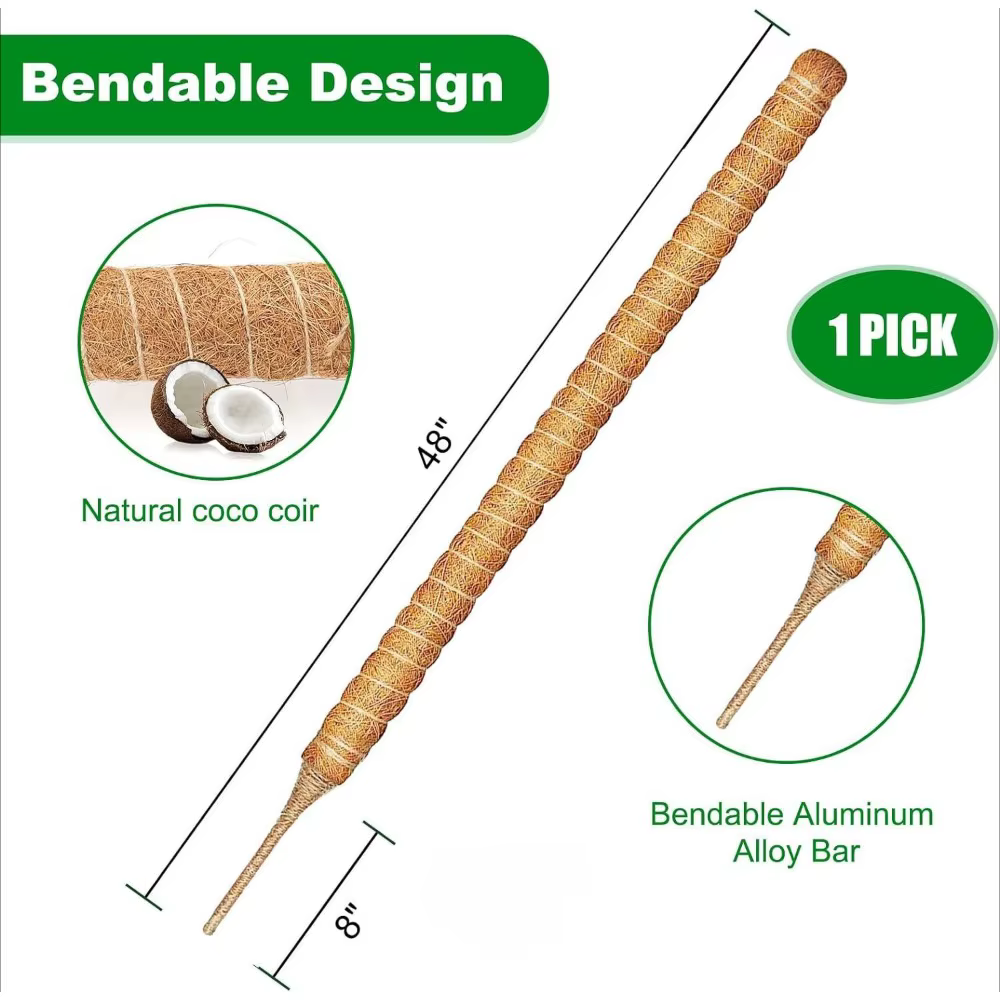 Support d'escalade pour plantes pliables