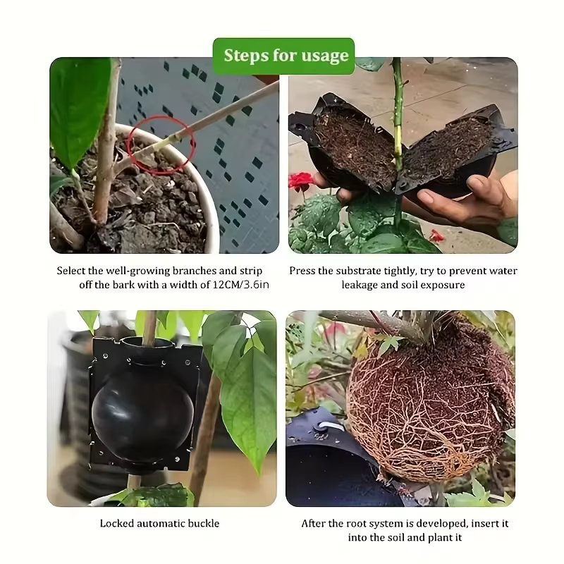 12 boules de bouturage pour plantes