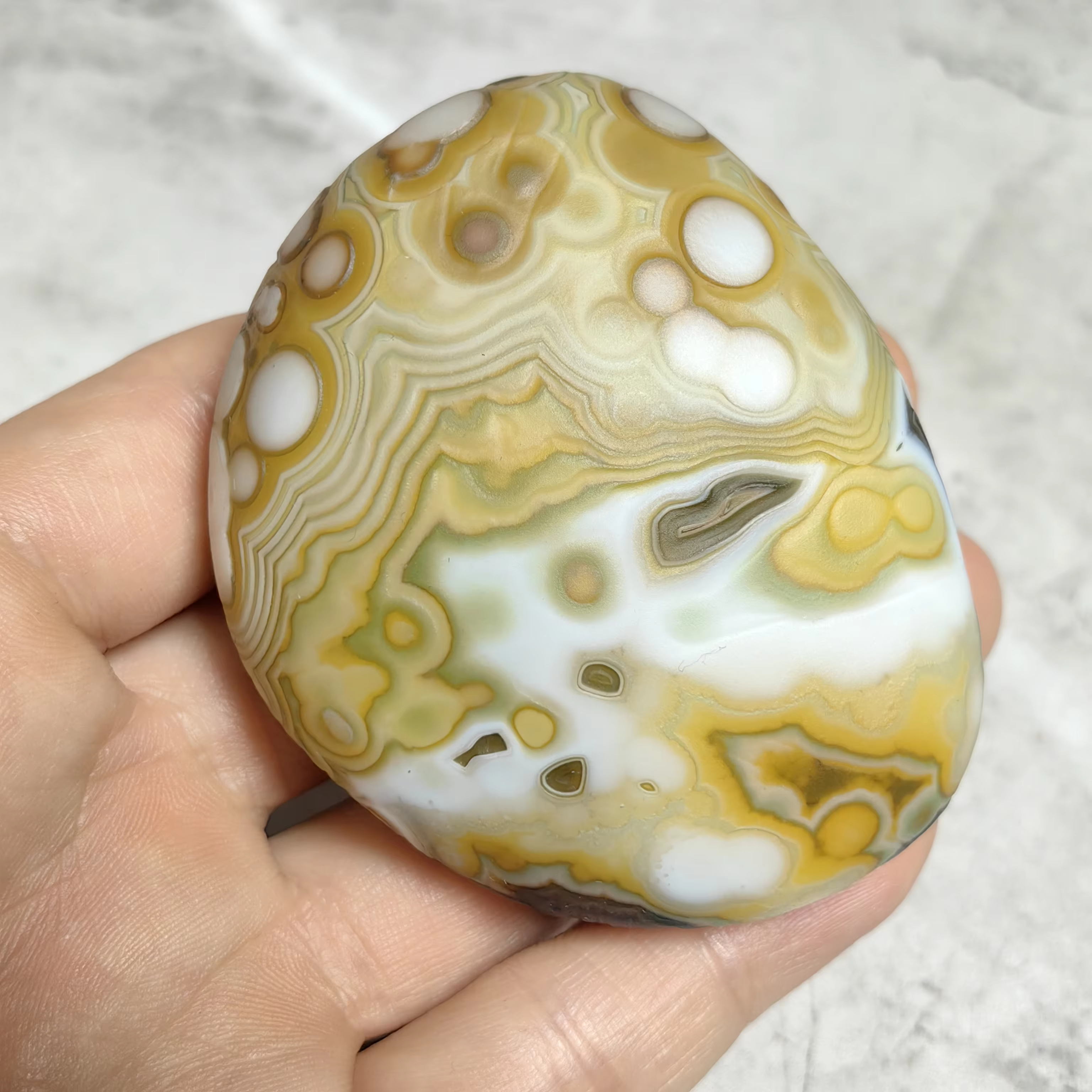  Pierres de palmier en agate naturelle pure, agate œil de chat, agate œil de fleur, pierres brutes, accessoires de décoration intérieure, bijoux et décoration DIY
