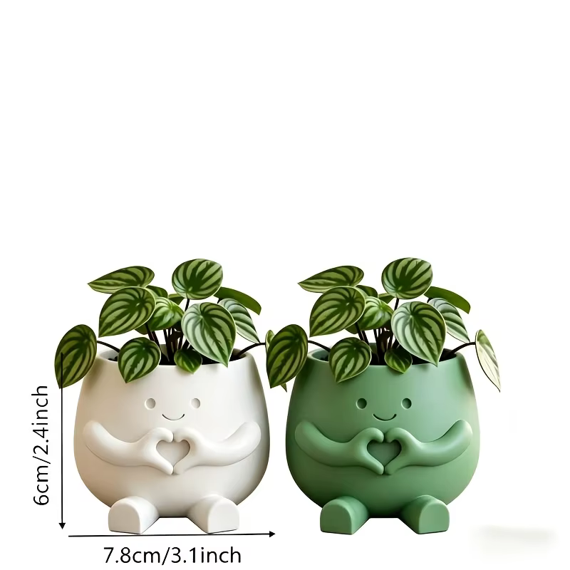 2 pots de plantes porte-bonheur