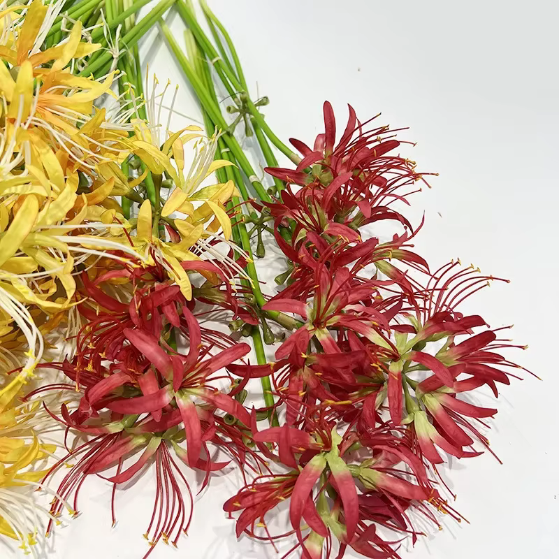 Simulation de fleurs de rivage artificielles