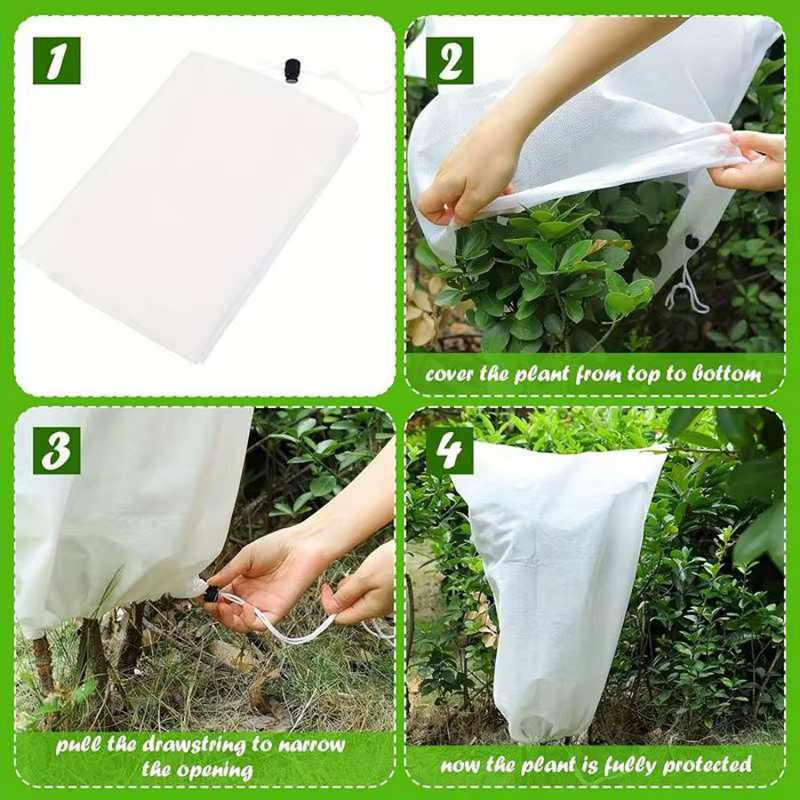 Couverture pour plantes d'hiver