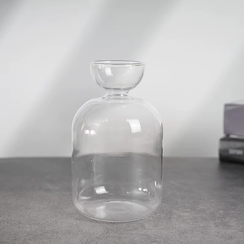 Vase de démarrage de graines d'avocat