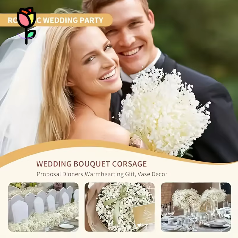 1 bouquet de fleurs séchées Gypsophile pour la décoration de mariage