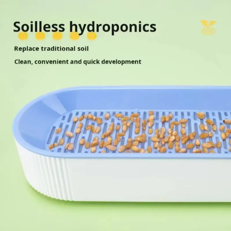 Pot de herbe hydroponique sans terre pour chat