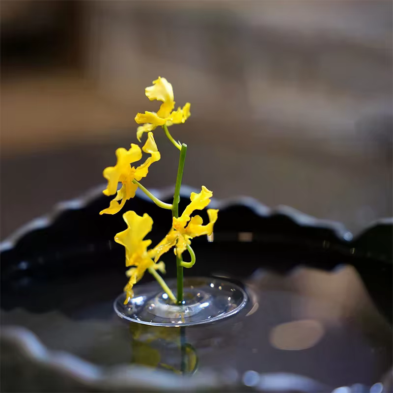 Support Floral flottant hydroponique