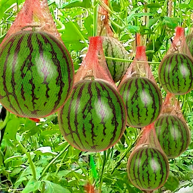 100 pièces de filet de jardin en plastique robuste