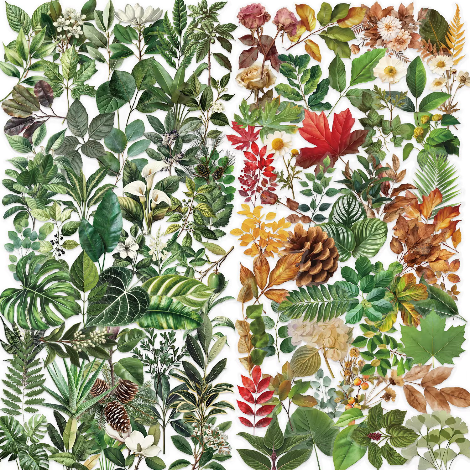 Autocollants Graffiti feuilles de plantes