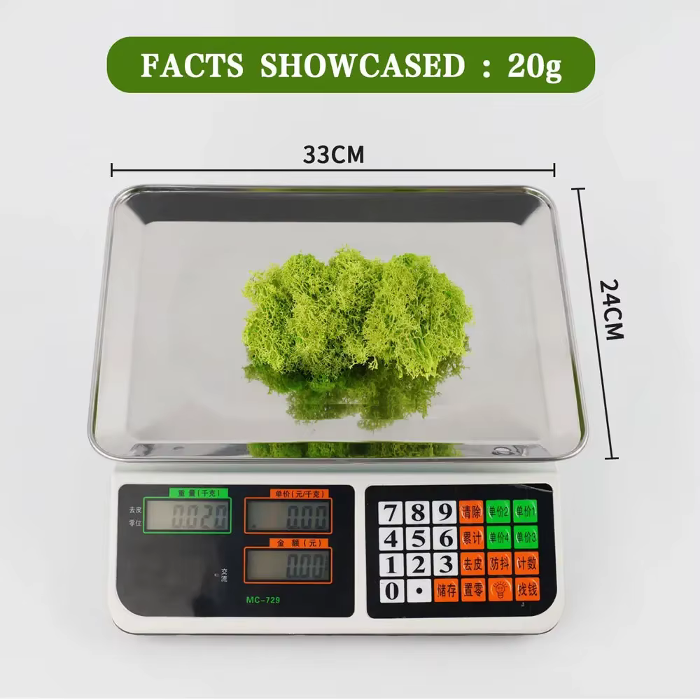 Mini paysage de fausses plantes artificielles