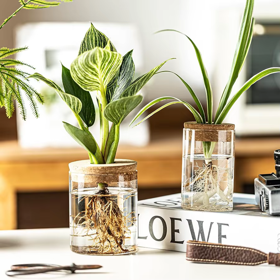 Station de propagation des plantes