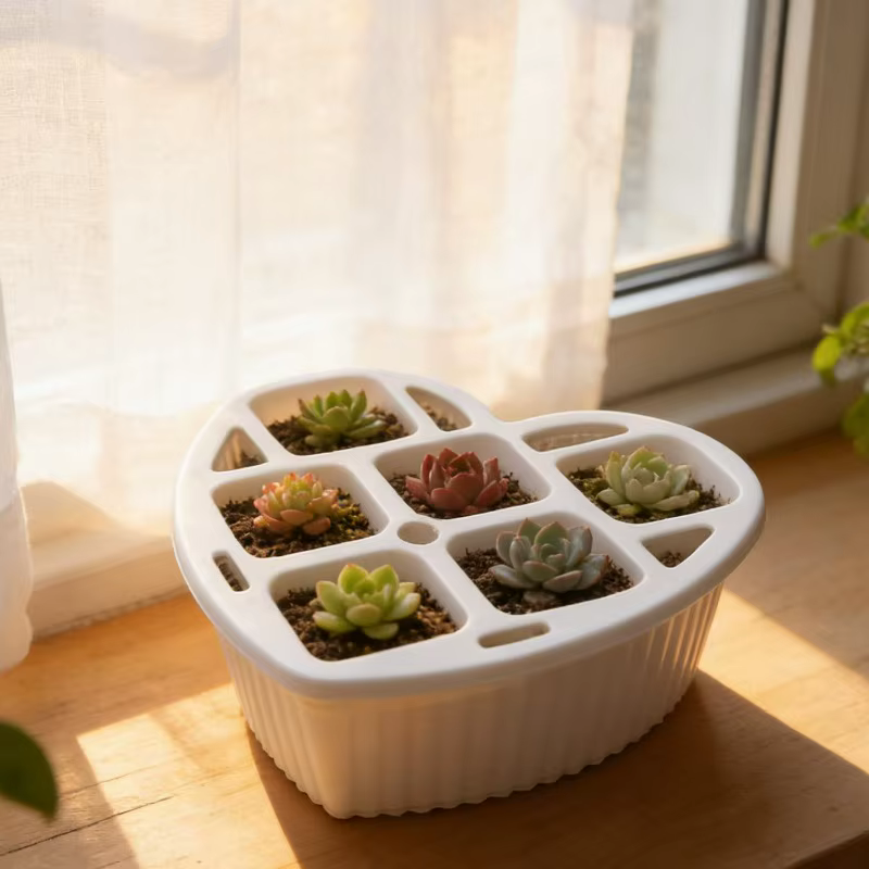 1/3 pots hydroponiques pour bulbes de tulipes