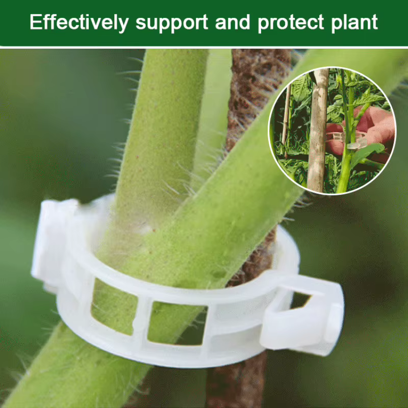 Attaches de fixation pour plantes suspendues