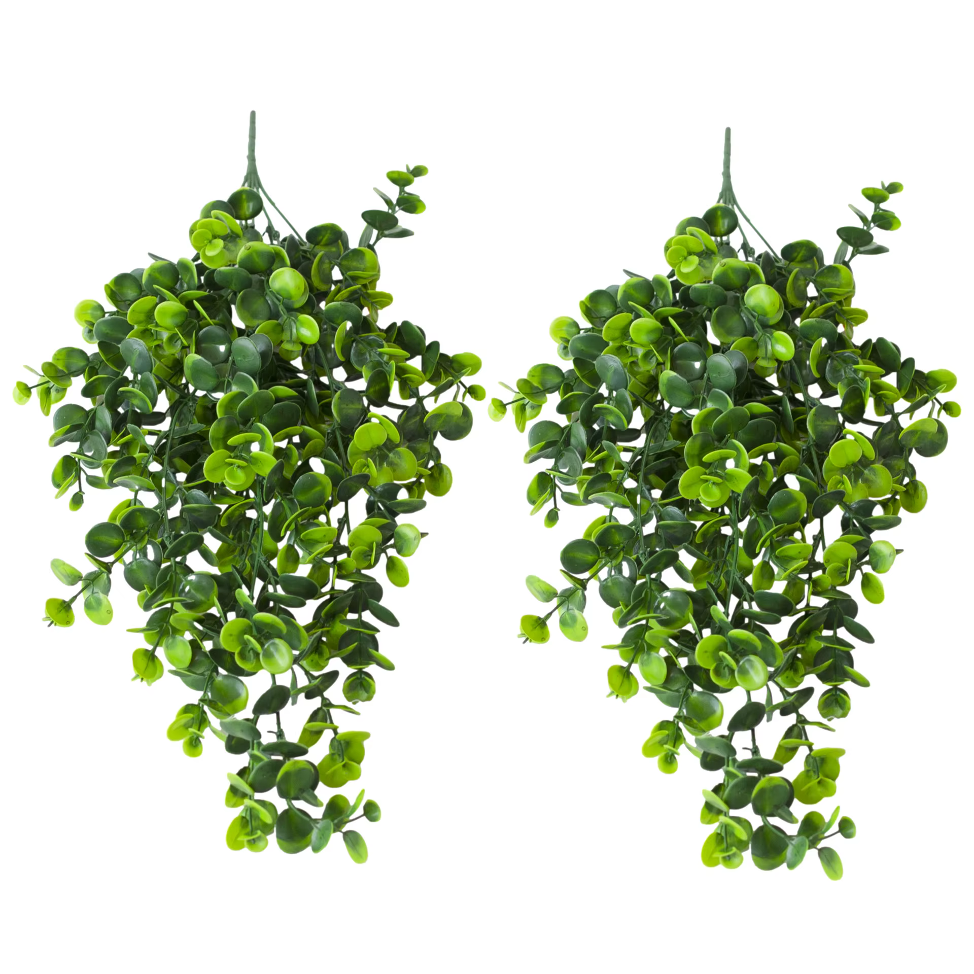 Plante verte artificielle d'eucalyptus