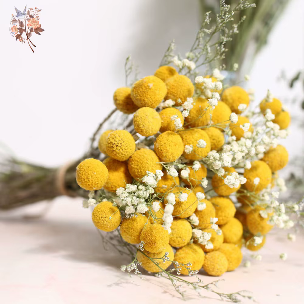 Bouquet de fleurs séchées