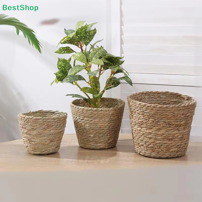 ♩ Pots à plantes en jonc de mer tressé à la main
