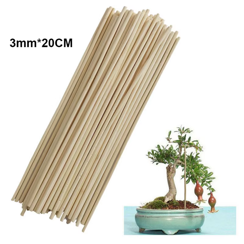 Lot de 50 bâtons de support en bambou pour plantes, pour fleurs et canes