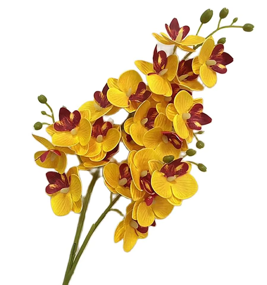 Fleurs d'orchidées papillon en Latex