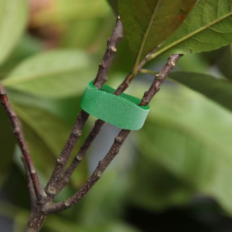 10 rouleaux de attaches pour plantes en Nylon