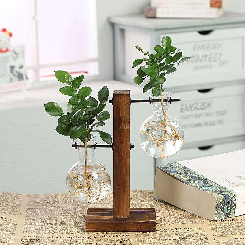 Vases de plantes hydroponiques de terrarium