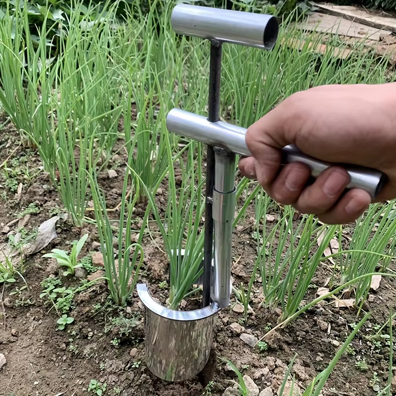 Transplantateur de jardin portatif Durable en acier inoxydable
