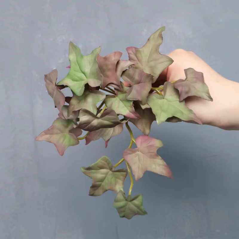 Simulation de plante de trèfle