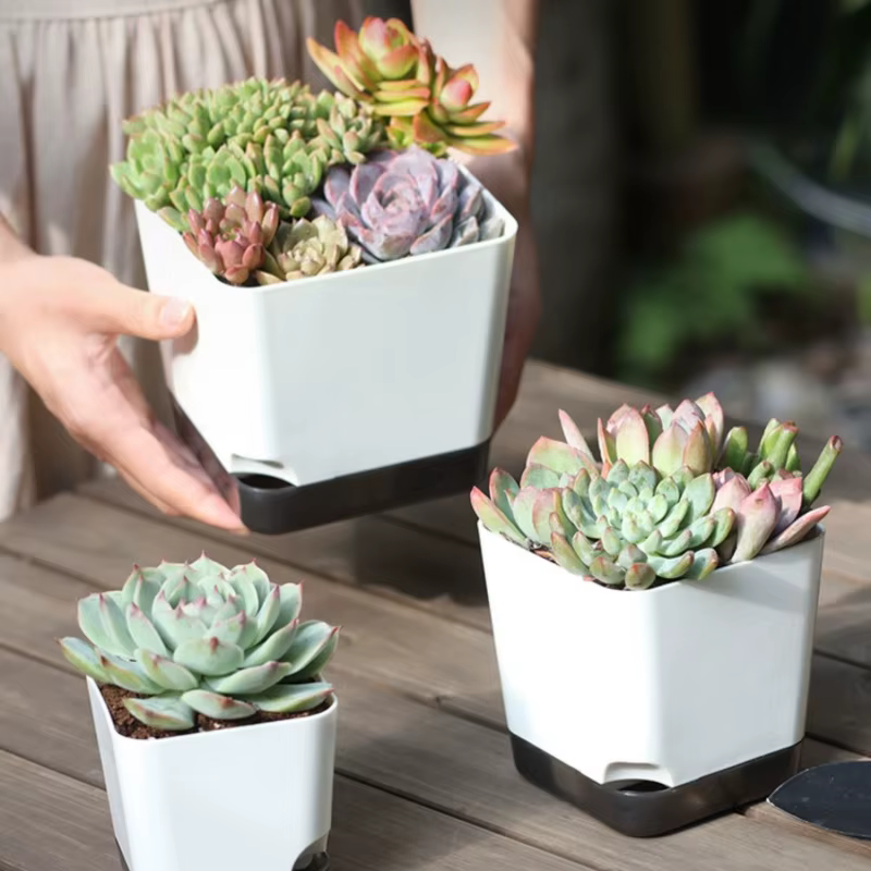 Pot de plantes à arrosage automatique