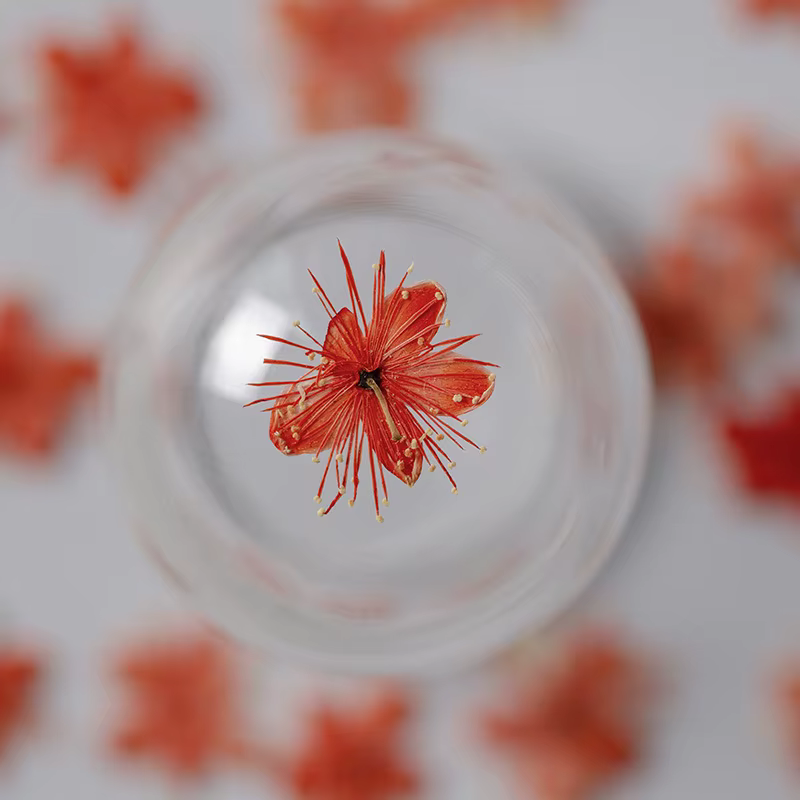 12 Pièces de Fleurs Séchées Naturelles (Symplocos Paniculata) pour DIY Marque-pages