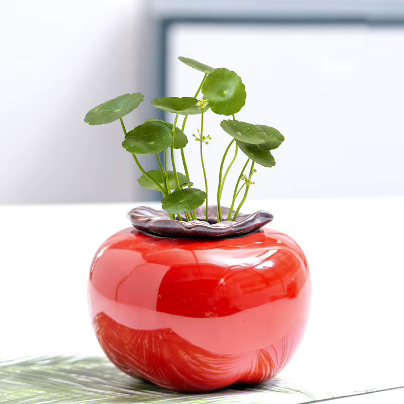 Vase en Céramique Coloré pour Décoration de Maison
