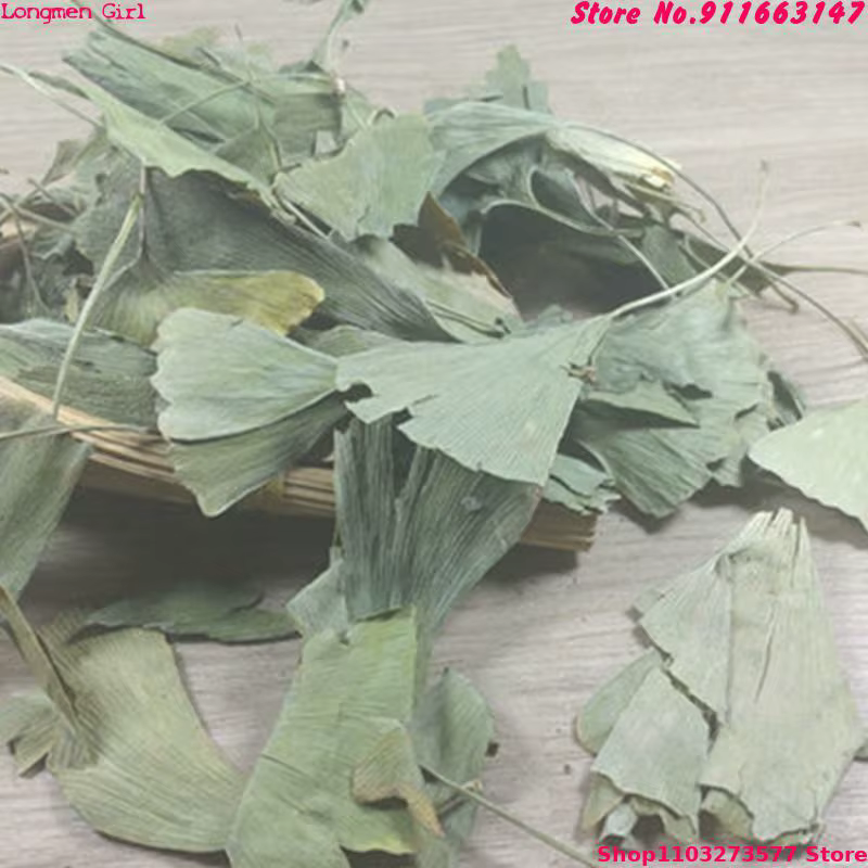Feuilles de Ginkgo Biloba séchées de qualité supérieure pour la beauté