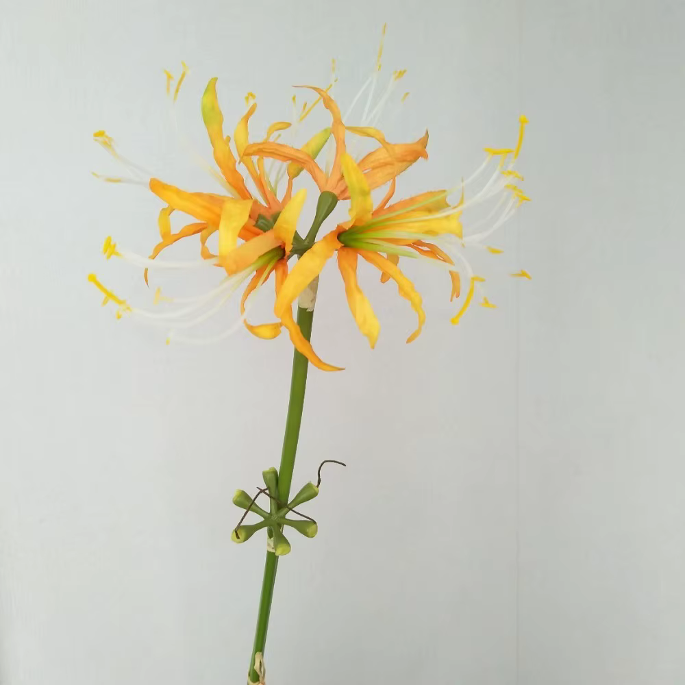 60cm Simulation Manzhushahua soie araignée lys fleurs artificielles photographie décoration bricolage Pseudo Lycoris Bouquet mariage