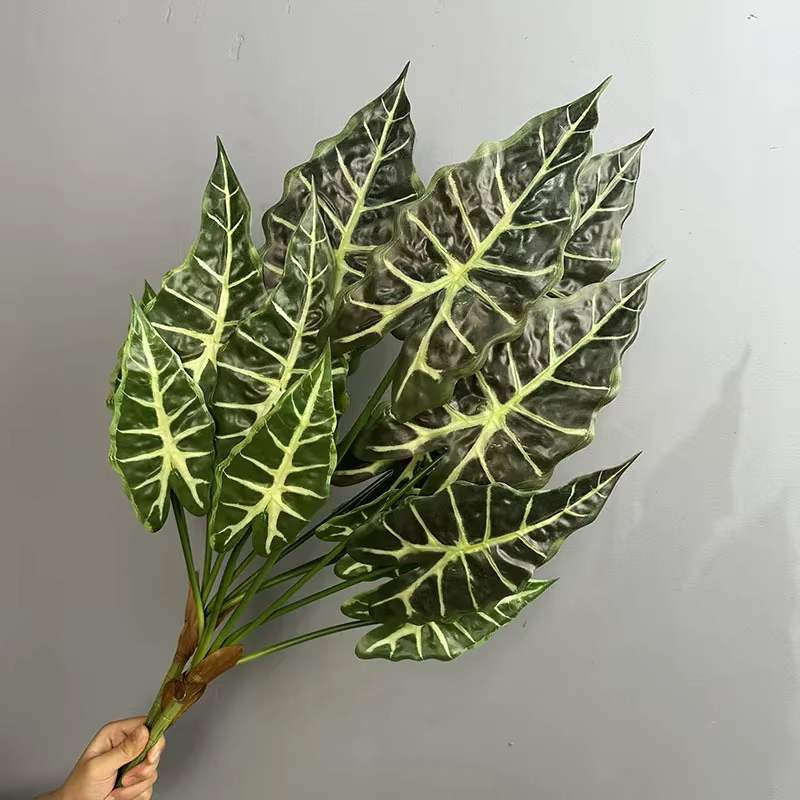 Simulation de plantes vertes Taro Levesf