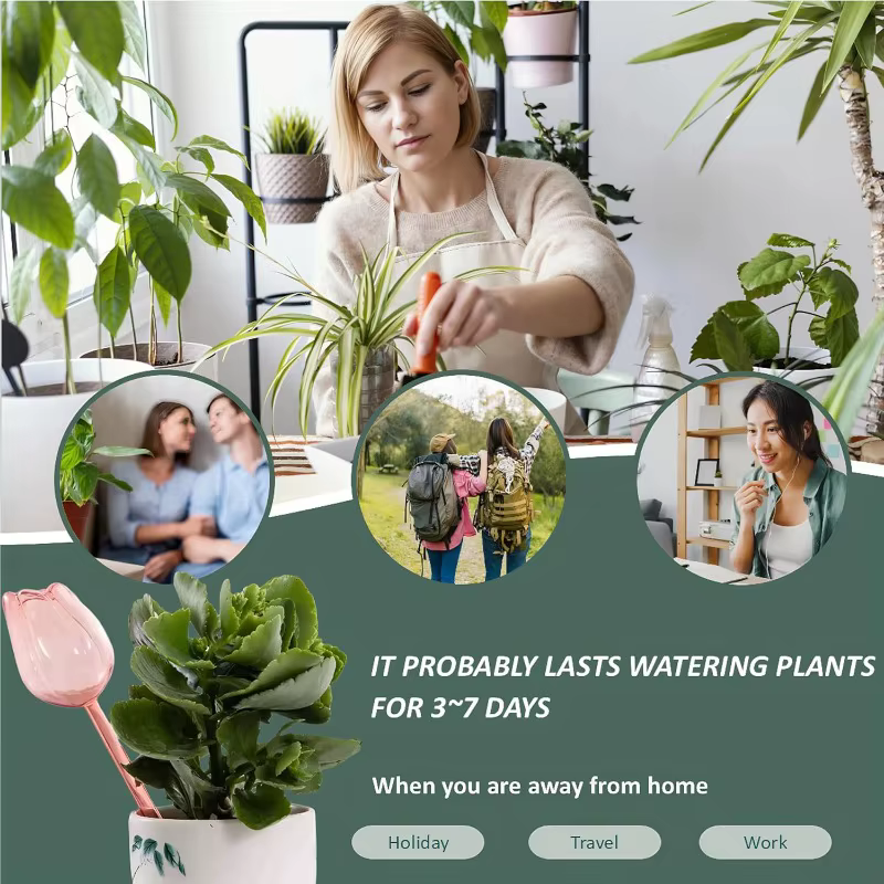 1/4 ampoules d'arrosage automatique pour plantes tulipes
