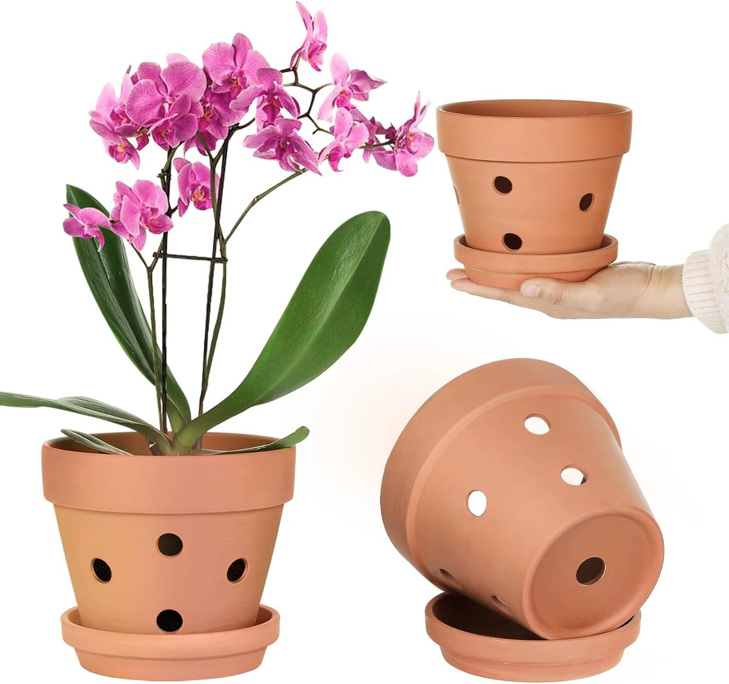 Pots d'orchidées en terre cuite de 4 pouces