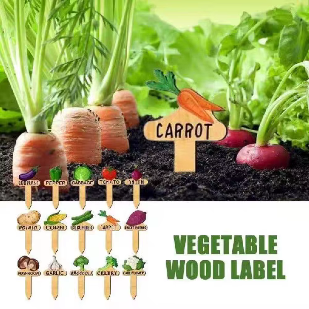Lot de 15 étiquettes en bois pour plantes - Marqueurs de jardin faciles à coller pour le jardinage extérieur et la