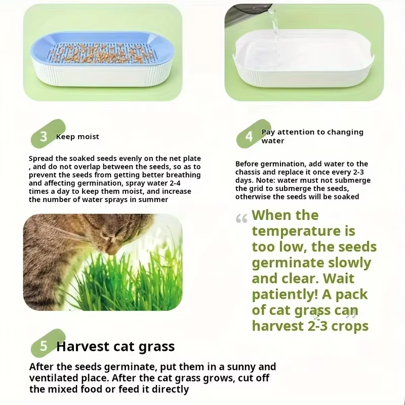 Boîte de plantation hydroponique pour chat