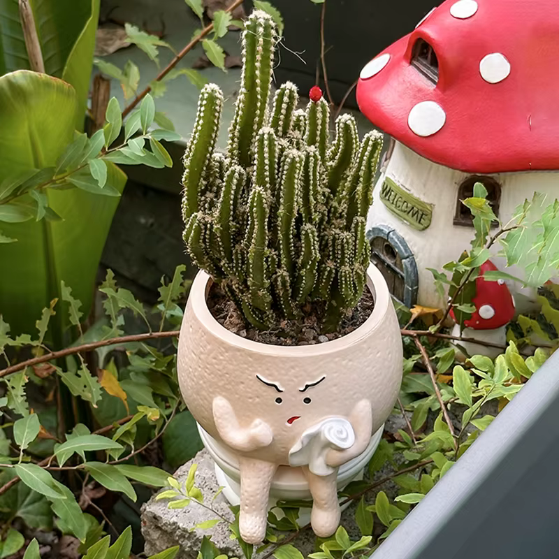 Pot de fleurs amusant en forme de toilette pour plantes succulentes