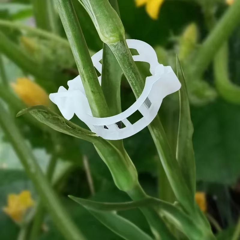Clips de Support pour plantes