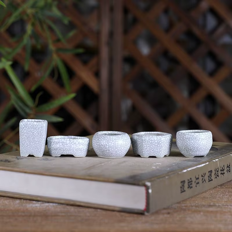 8 pièces de mini-pots de fleurs en céramique