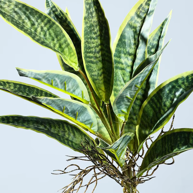 5 pièces de plantes artificielles en plastique Sansevieria