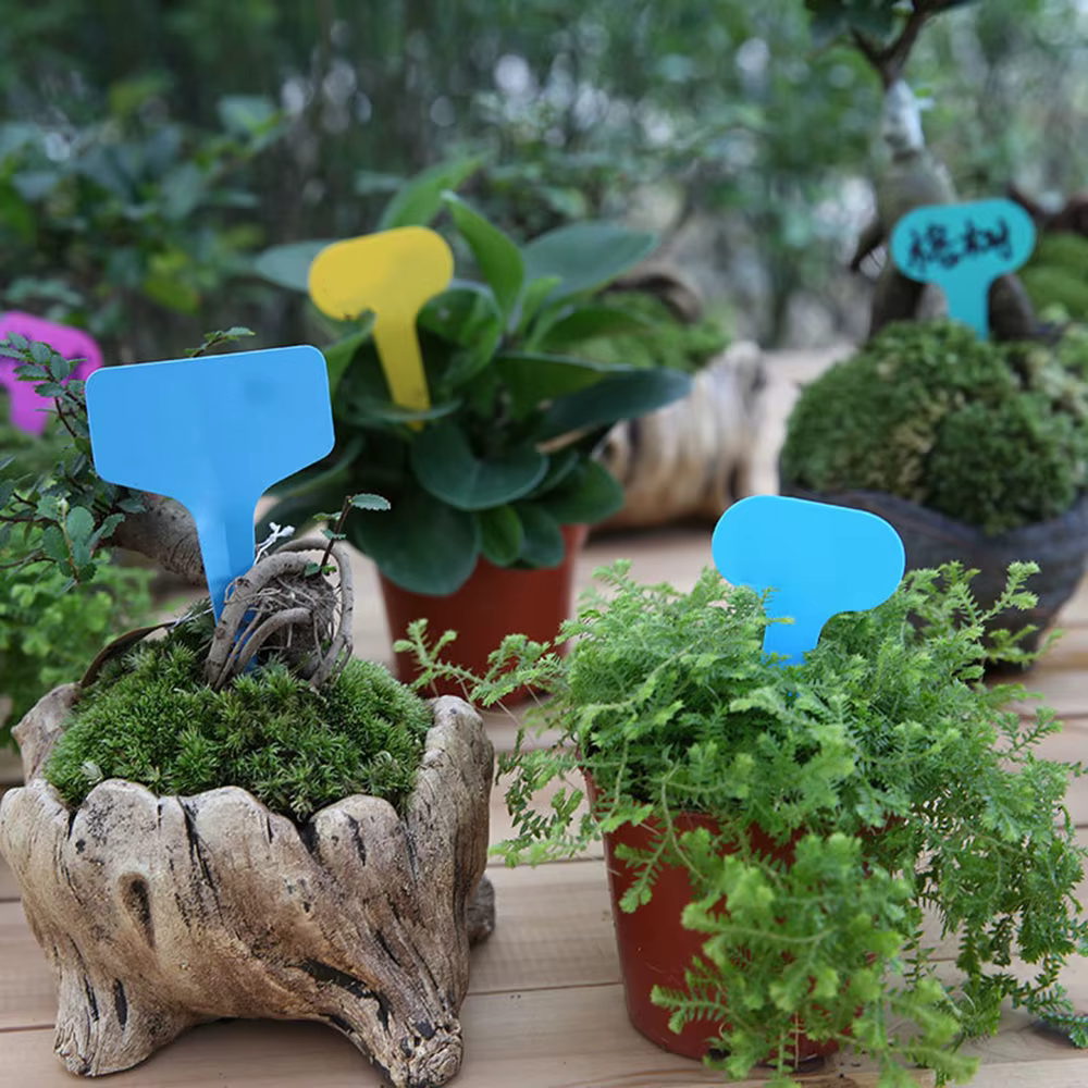 Étiquettes de jardin blanches pour plantes