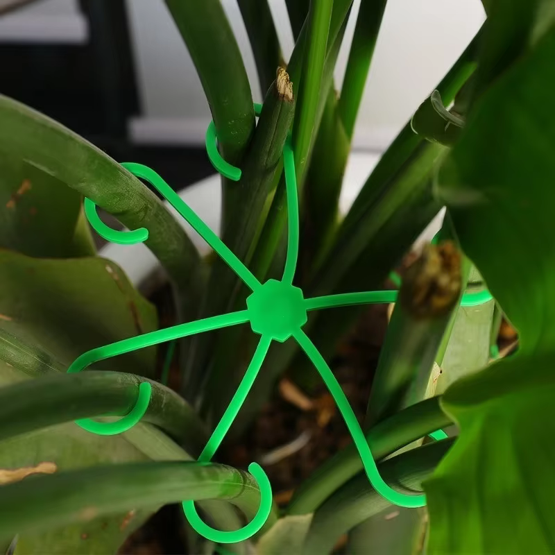 Kit de 4 supports anti-éclatement pour plantes