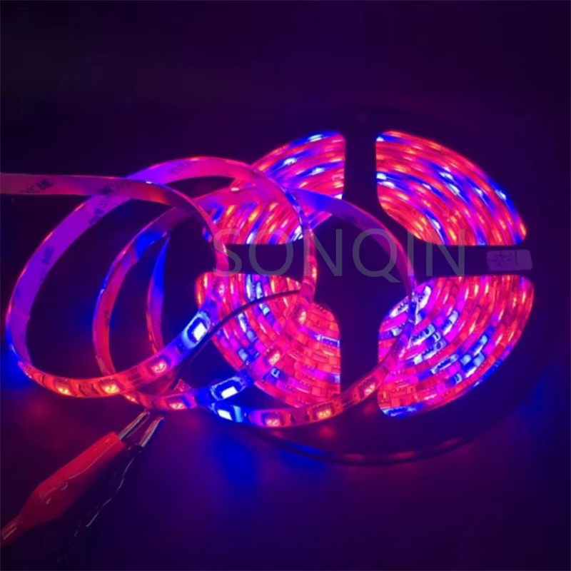 12V Led plante poussent la lumière spectre complet Phyto lampe 1m 2m 3m 5M bande pour graines fleur serre tente plantes hydroponiques éclairage