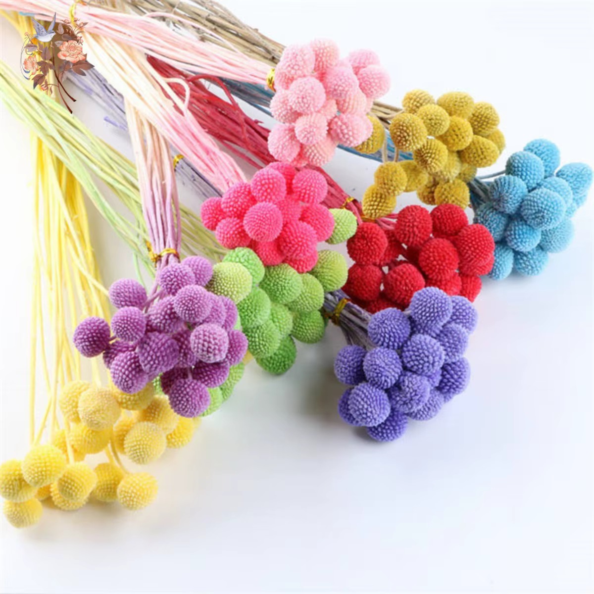 Fleurs IkFlowers séchées CeleButton pour décoration de table