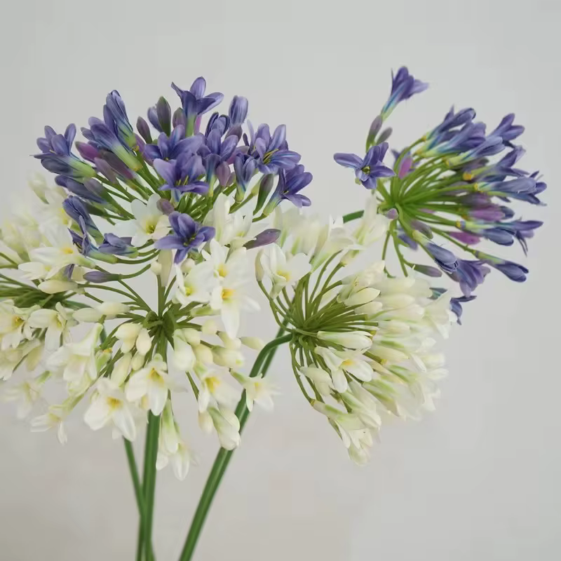 Fleurs artificielles d'agapanthe africaines de luxe