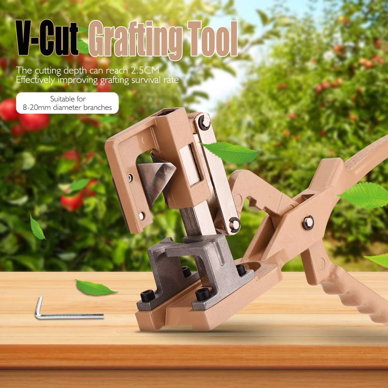 Ciseaux de taille de jardin