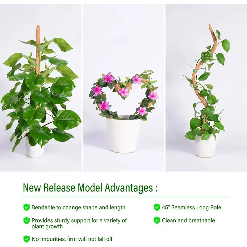 Échafaudage de plantes déformable